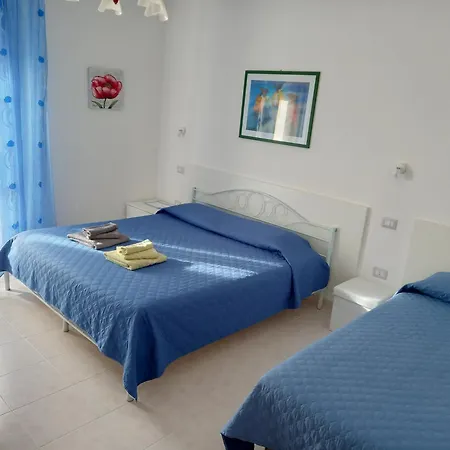 Tour * Αλγκέρο